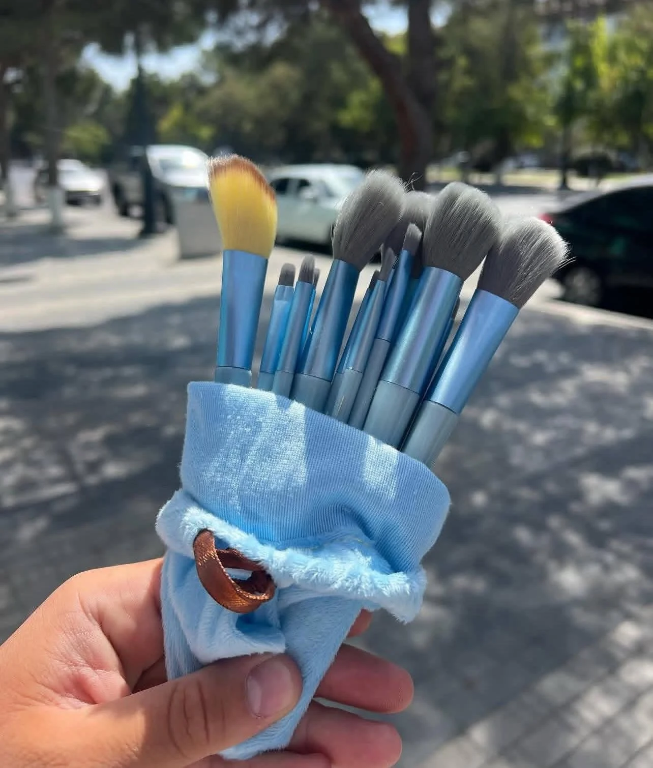 سيت فرش  مكياج احترافية